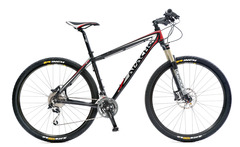 Hawk29