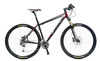 Hawk29